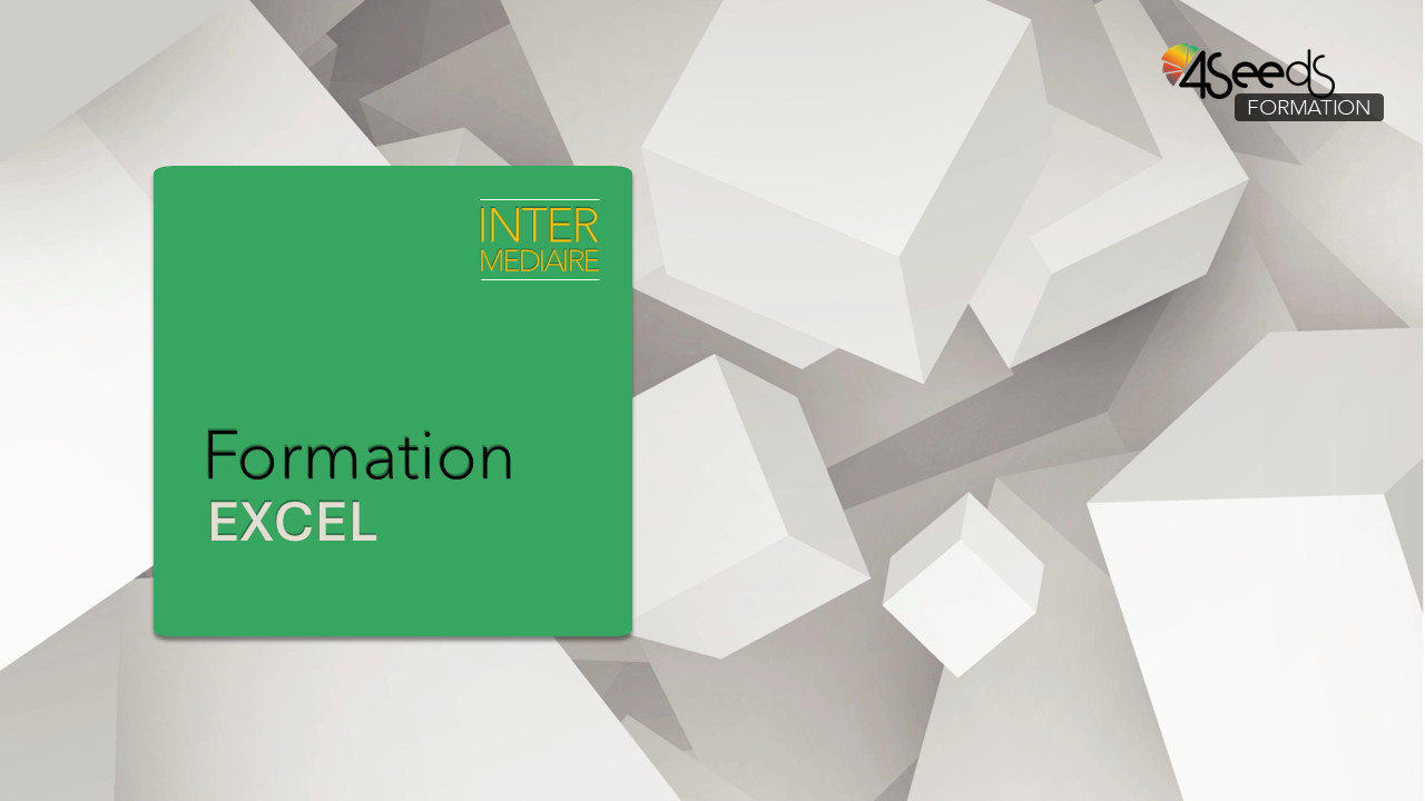 Formation Excel